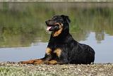 BEAUCERON 635